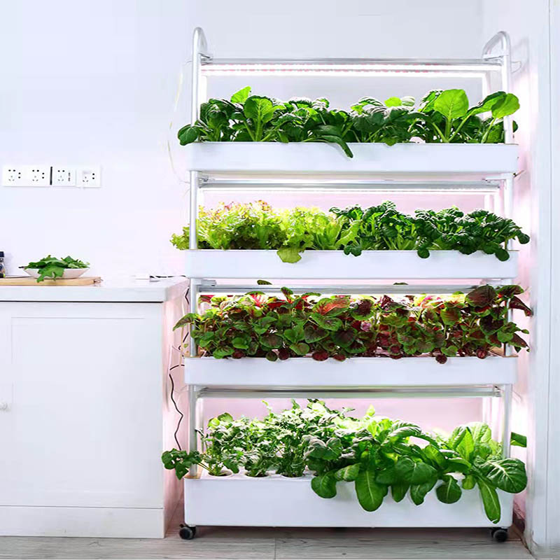 ydroponic Planting System Smar - Smart Home System review and price