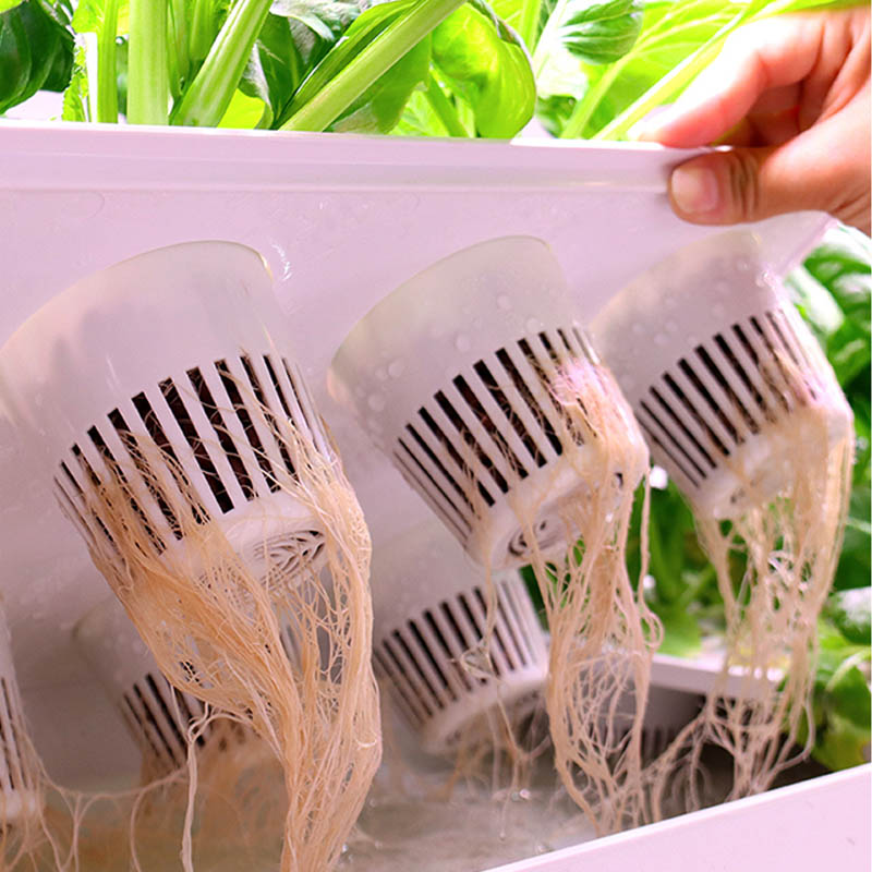 ydroponic Planting System Smar - Smart Home System review and price