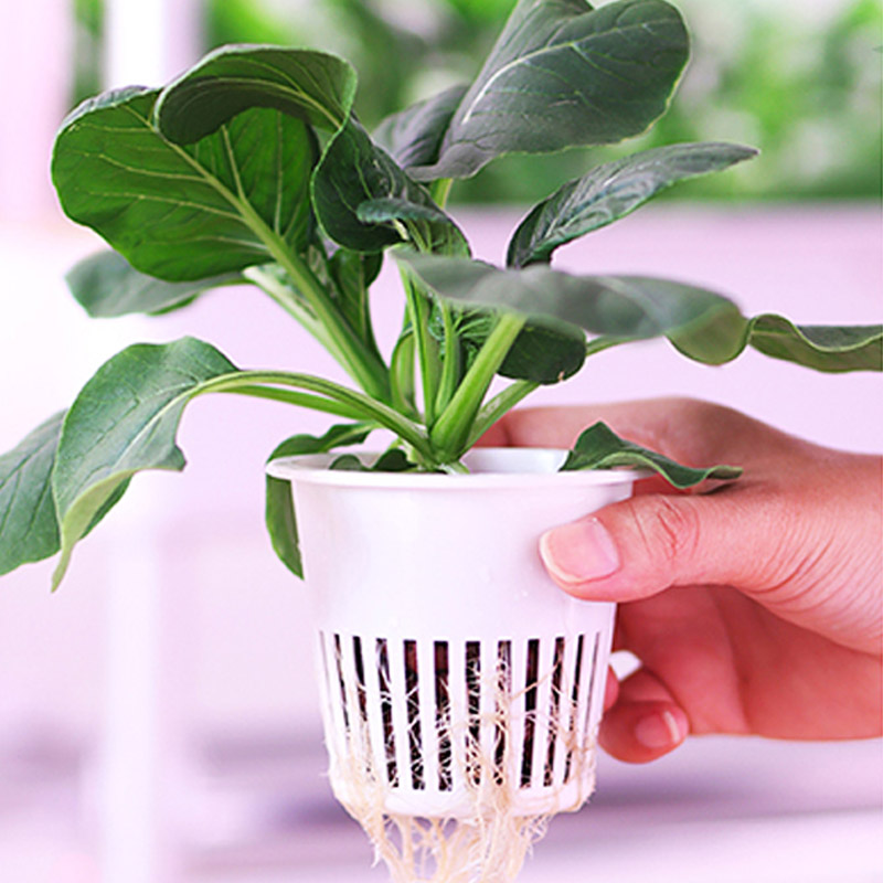 ydroponic Planting System Smar - Smart Home System review and price